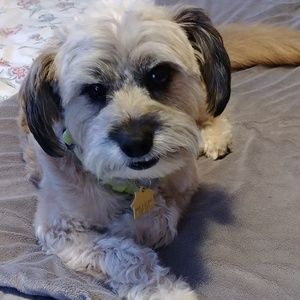 Meet your Posher, Laura